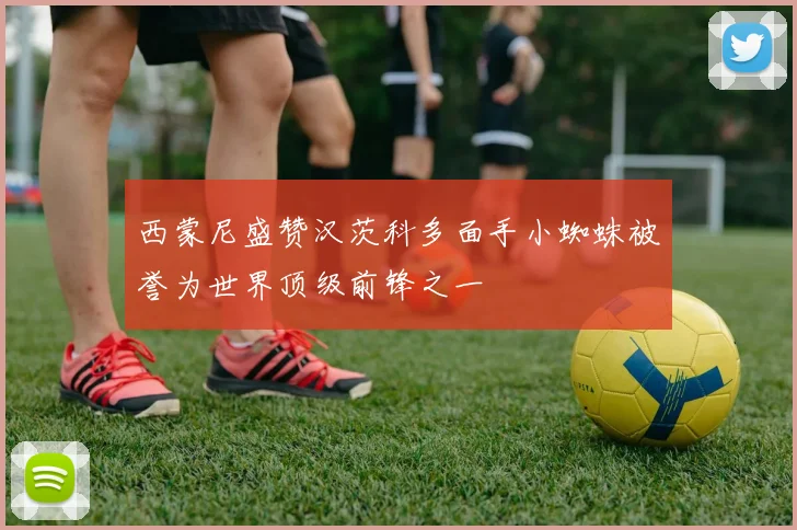 西蒙尼盛赞汉茨科多面手小蜘蛛被誉为世界顶级前锋之一